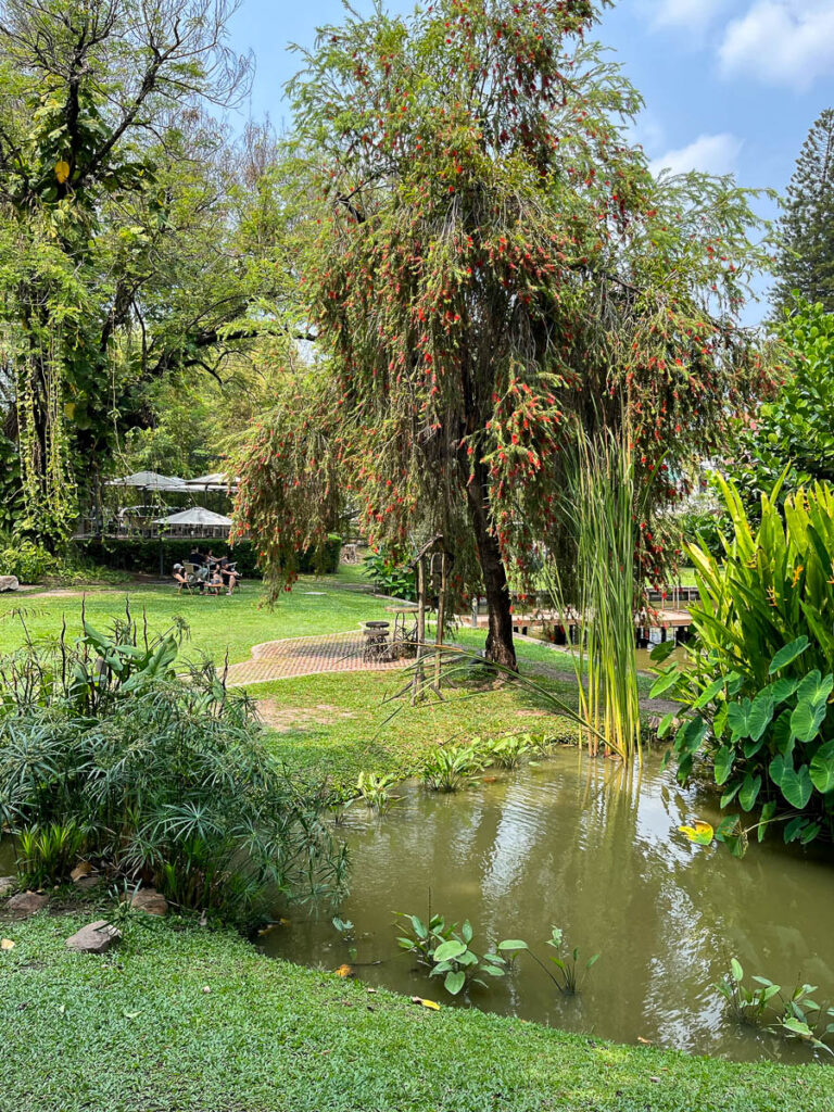 The gardens at Early Owls, Chiang Mai, Thailand