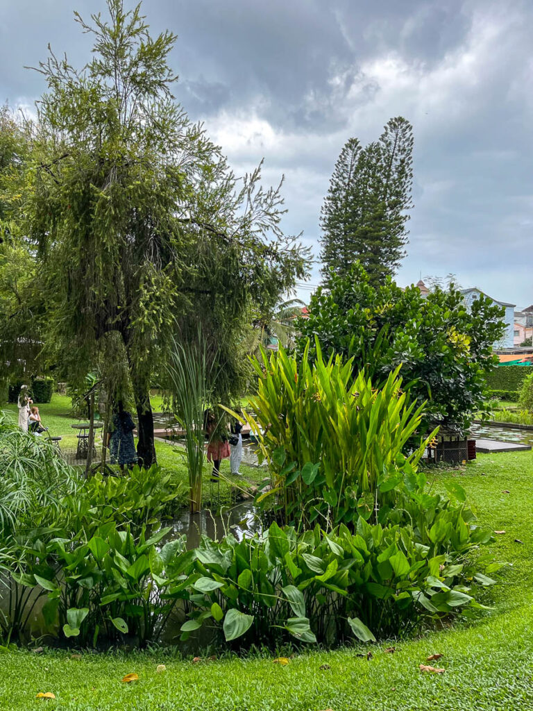 The gardens at Early Owls, Chiang Mai, Thailand