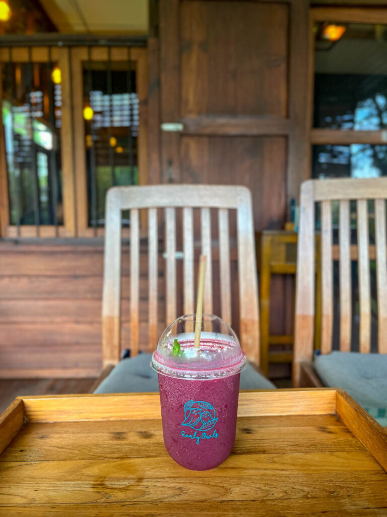 Food &amp; Drink at Early Owls Cafe, Chiang Mai, Thailand