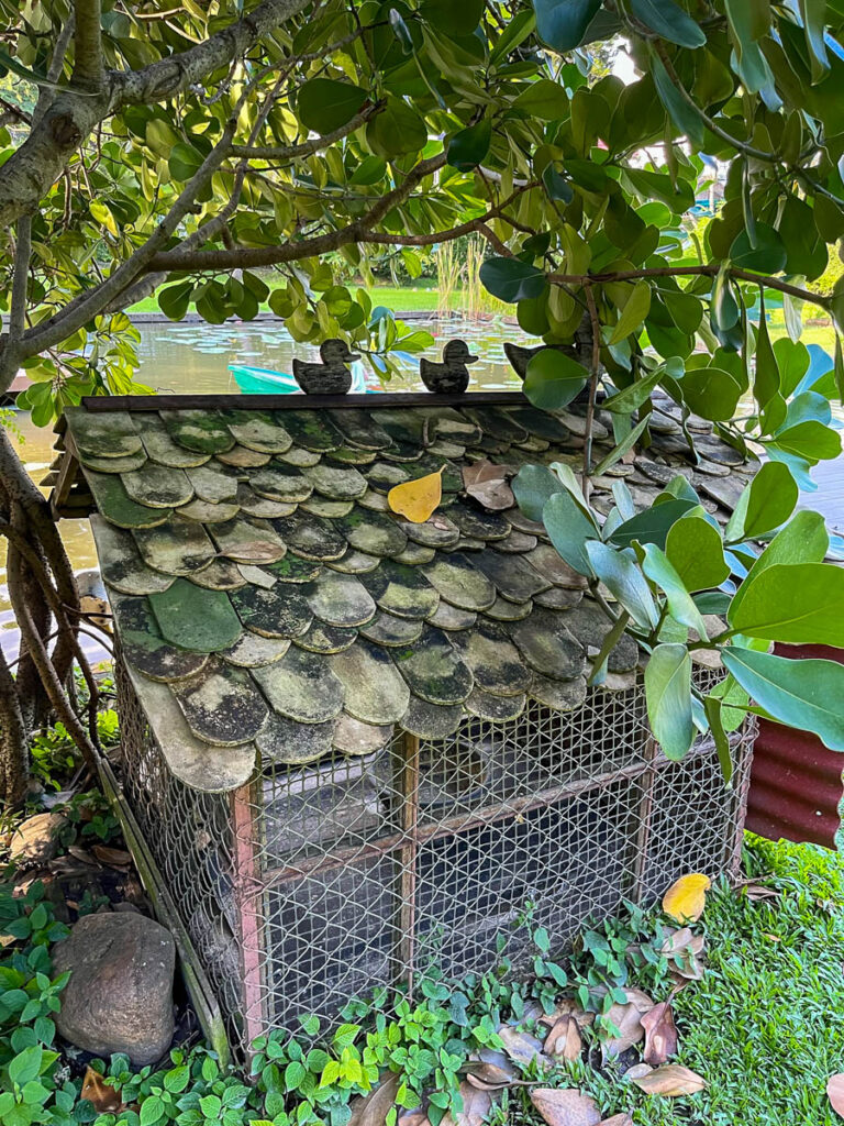 The gardens at Early Owls, Chiang Mai, Thailand