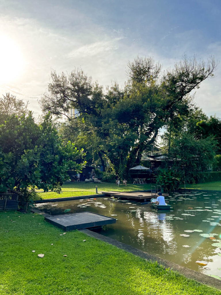 The lily pond at Early Owls Cafe, Chiang Mai, Thailand