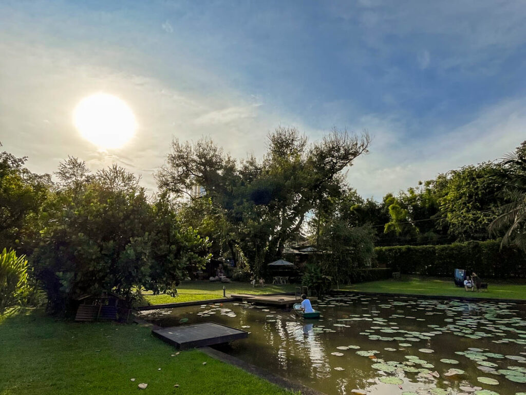 The lily pond at Early Owls Cafe, Chiang Mai, Thailand