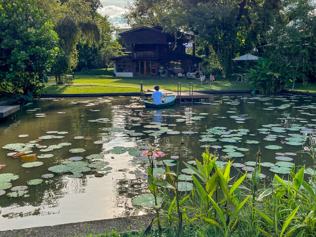 The lily pond at Early Owls Cafe, Chiang Mai, Thailand