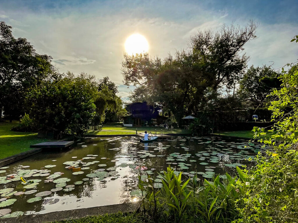 The lily pond at Early Owls Cafe, Chiang Mai, Thailand