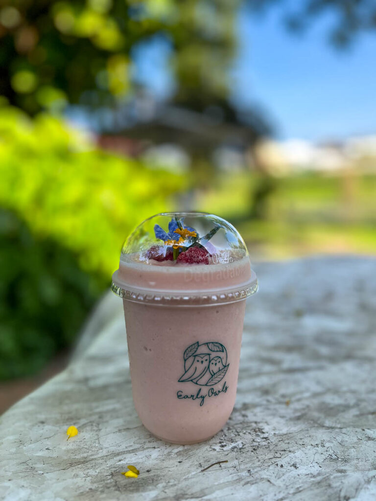 Food &amp; Drink at Early Owls Cafe, Chiang Mai, Thailand