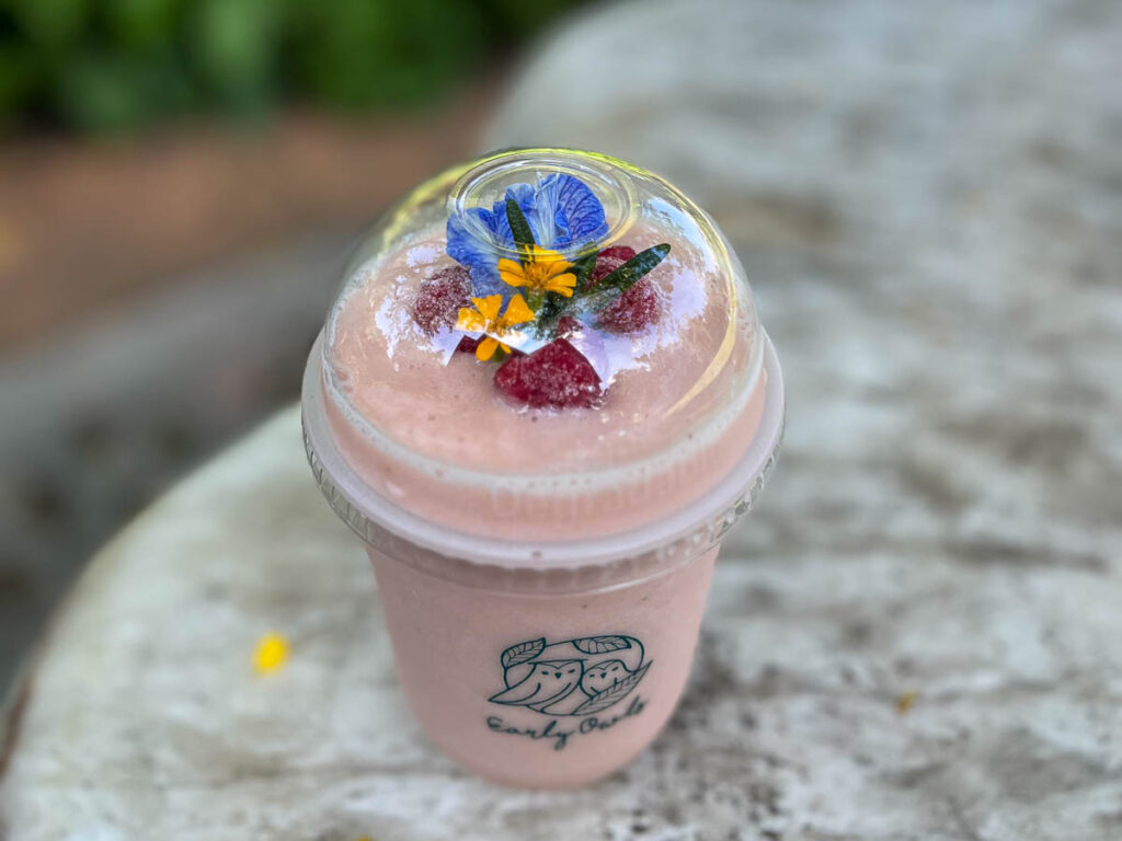 Food &amp; Drink at Early Owls Cafe, Chiang Mai, Thailand