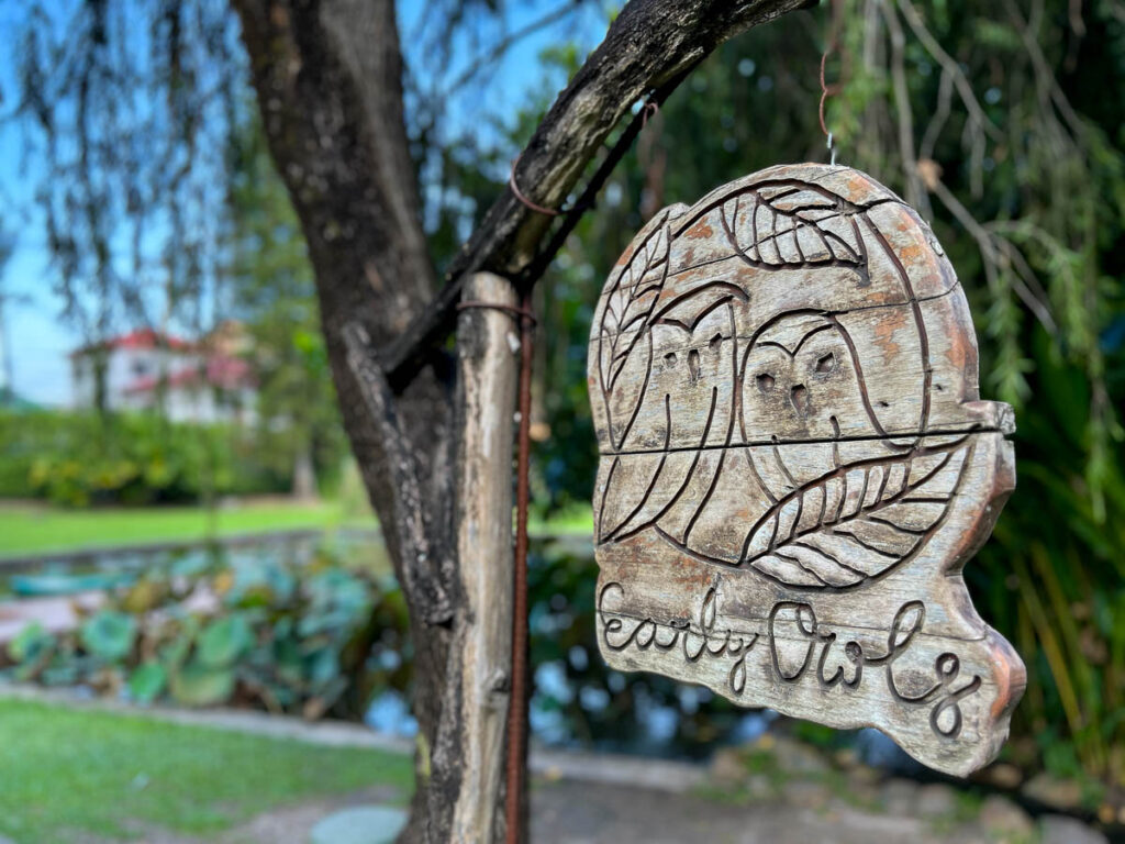The gardens at Early Owls, Chiang Mai, Thailand