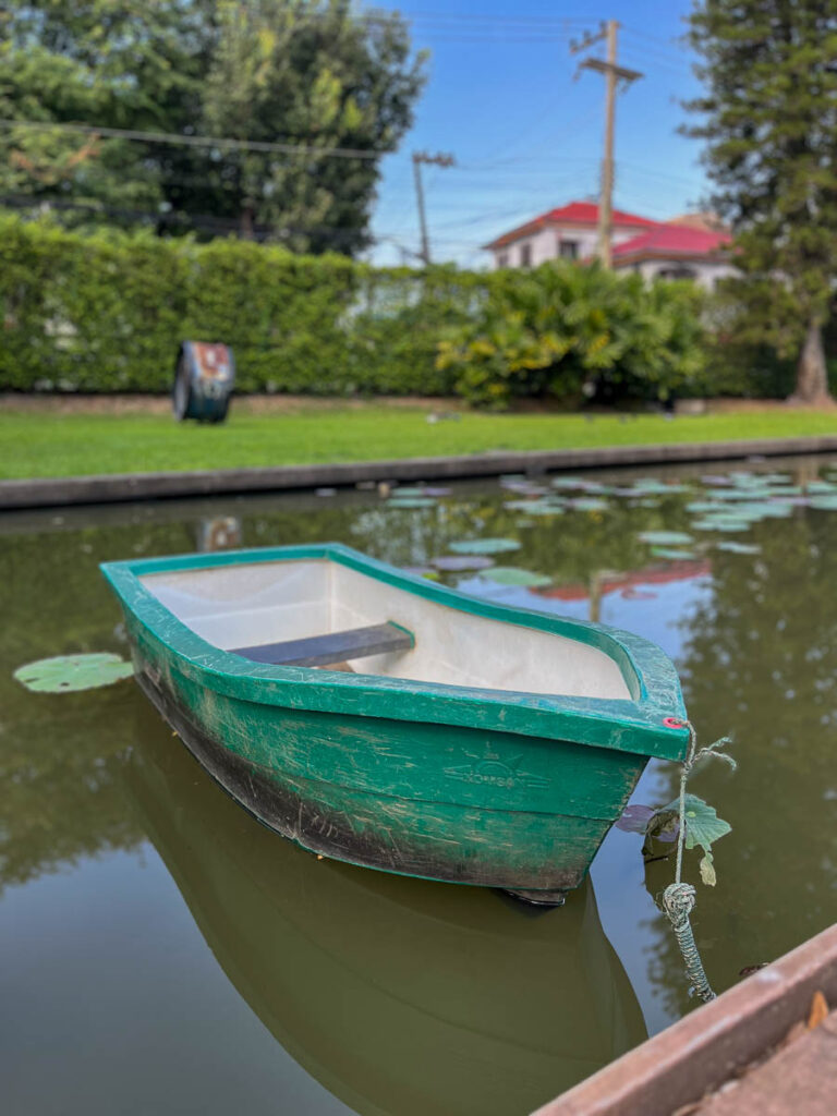 The lily pond at Early Owls Cafe, Chiang Mai, Thailand