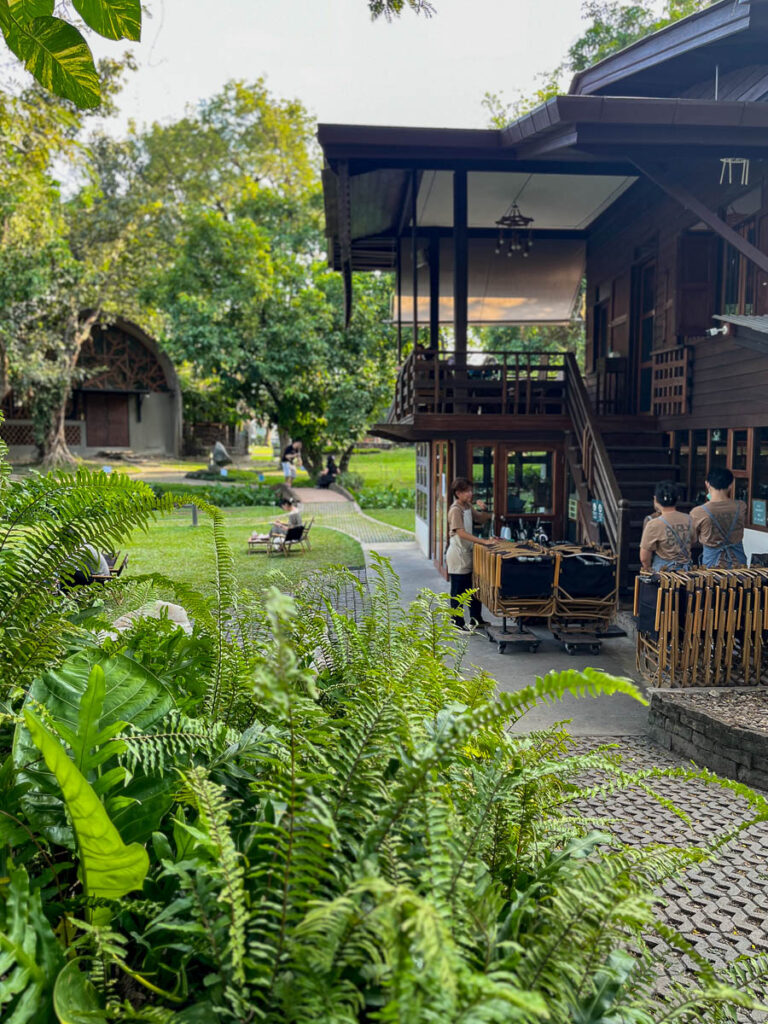Early Owls Cafe, Chiang Mai, Thailand
