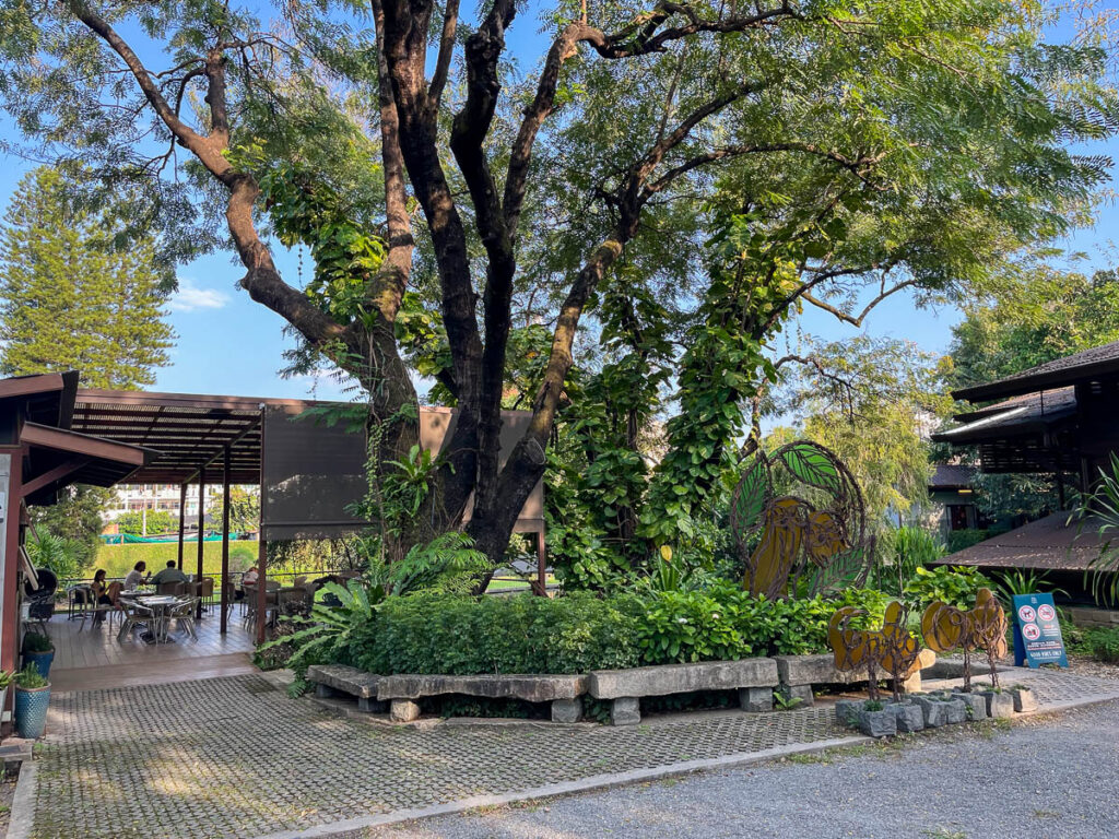 Early Owls Cafe, Chiang Mai, Thailand