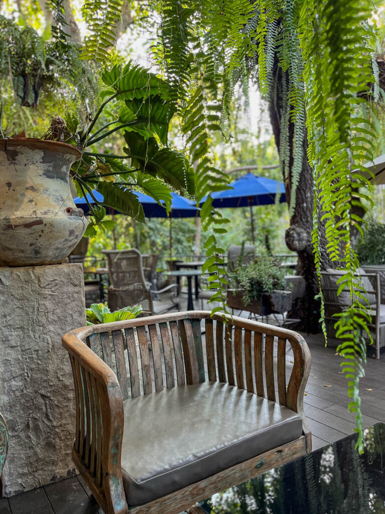Outdoors at Wild Coffee &amp; Bistro, Chiang Mai, Thailand