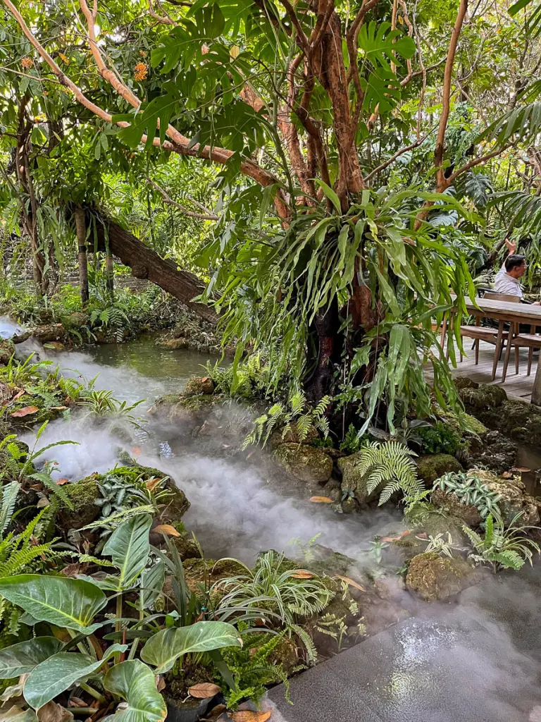 Outside at ORB Cafe, Chiang Mai, Thailand