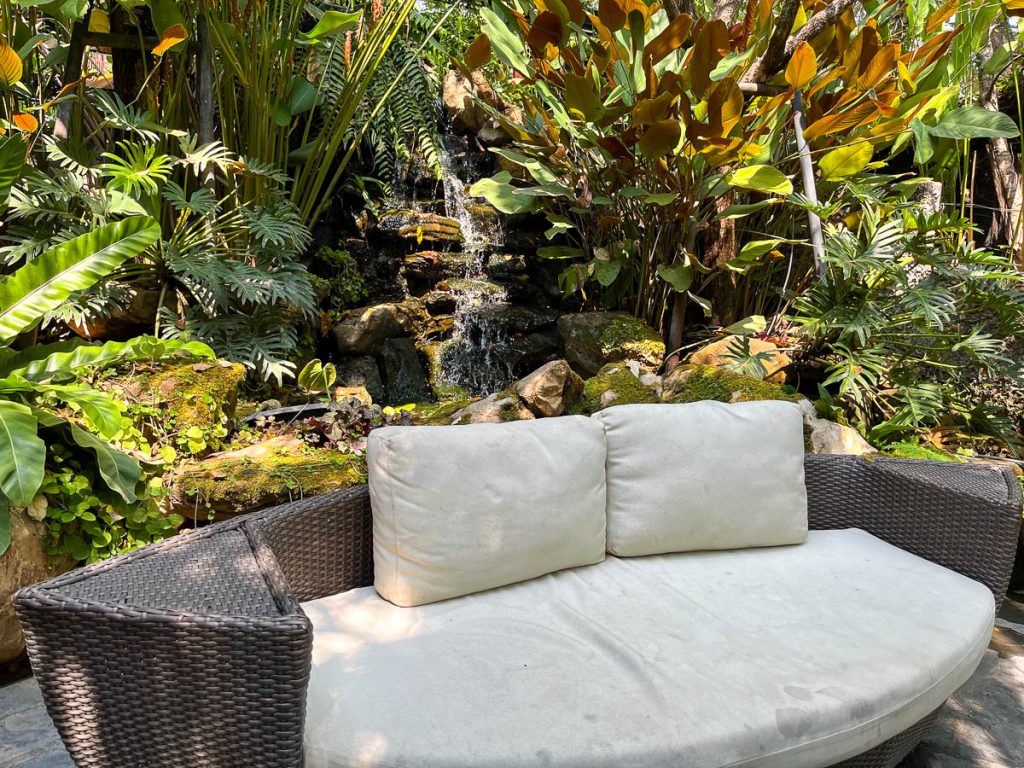 The Garden at Caramellow Cafe, Chiang Mai, Thailand