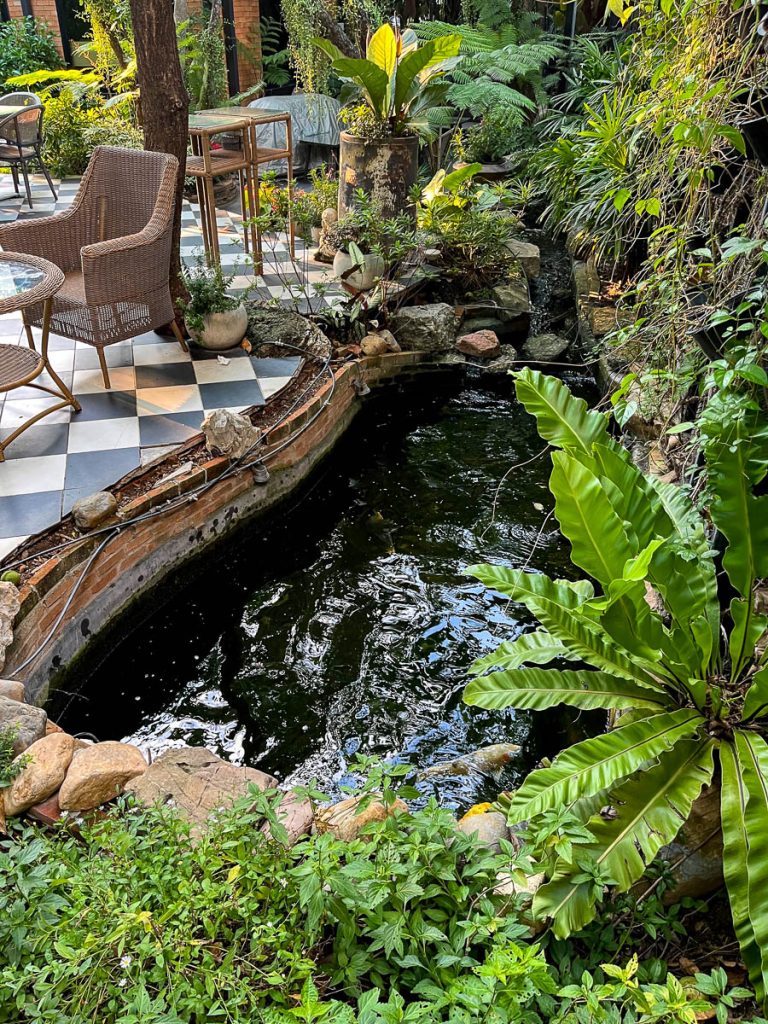 The Garden at Caramellow Cafe, Chiang Mai, Thailand