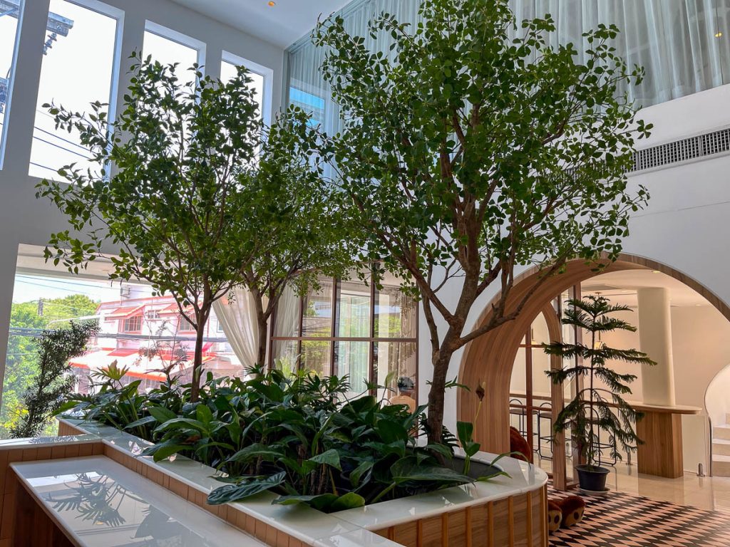 Nature meets design with an island of trees on Morestto’s second floor