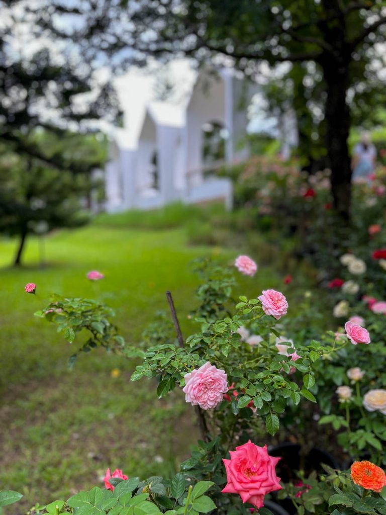 Every corner of Fleur’s grounds is curated: manicured lawns, climbing roses, and a brook that runs like a quiet soundtrack