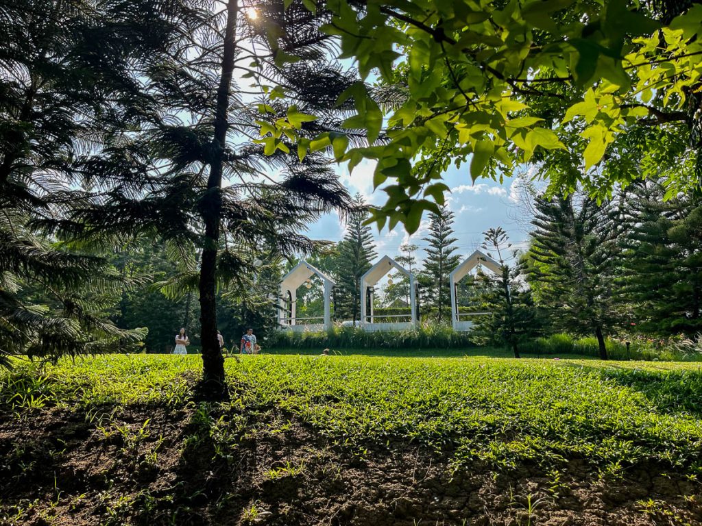 The Gardens at Fleur Cafe &amp; Eatery, Chiang Mai, Thailand