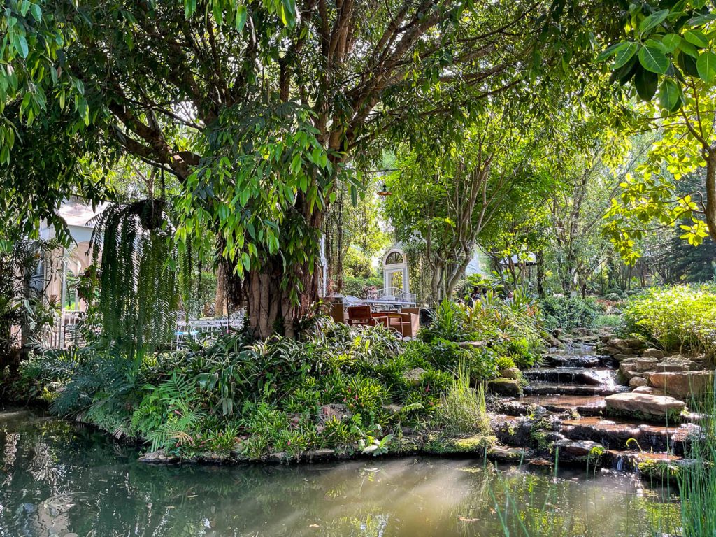 The Gardens at Fleur Cafe &amp; Eatery, Chiang Mai, Thailand