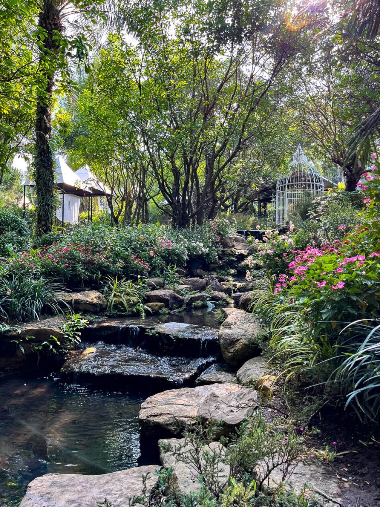 The Gardens at Fleur Cafe &amp; Eatery, Chiang Mai, Thailand
