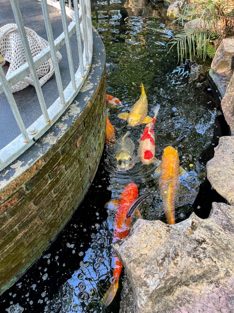 The Gardens at Fleur Cafe &amp; Eatery, Chiang Mai, Thailand