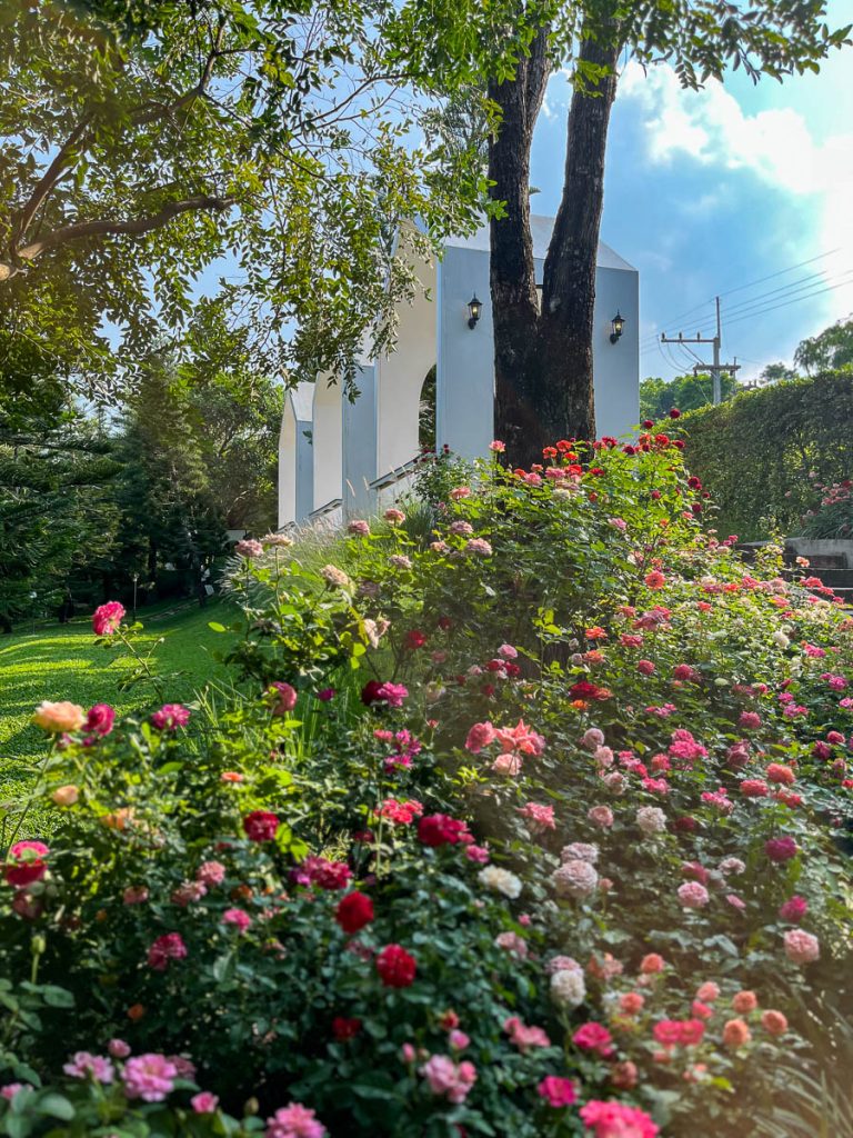 The Gardens at Fleur Cafe &amp; Eatery, Chiang Mai, Thailand