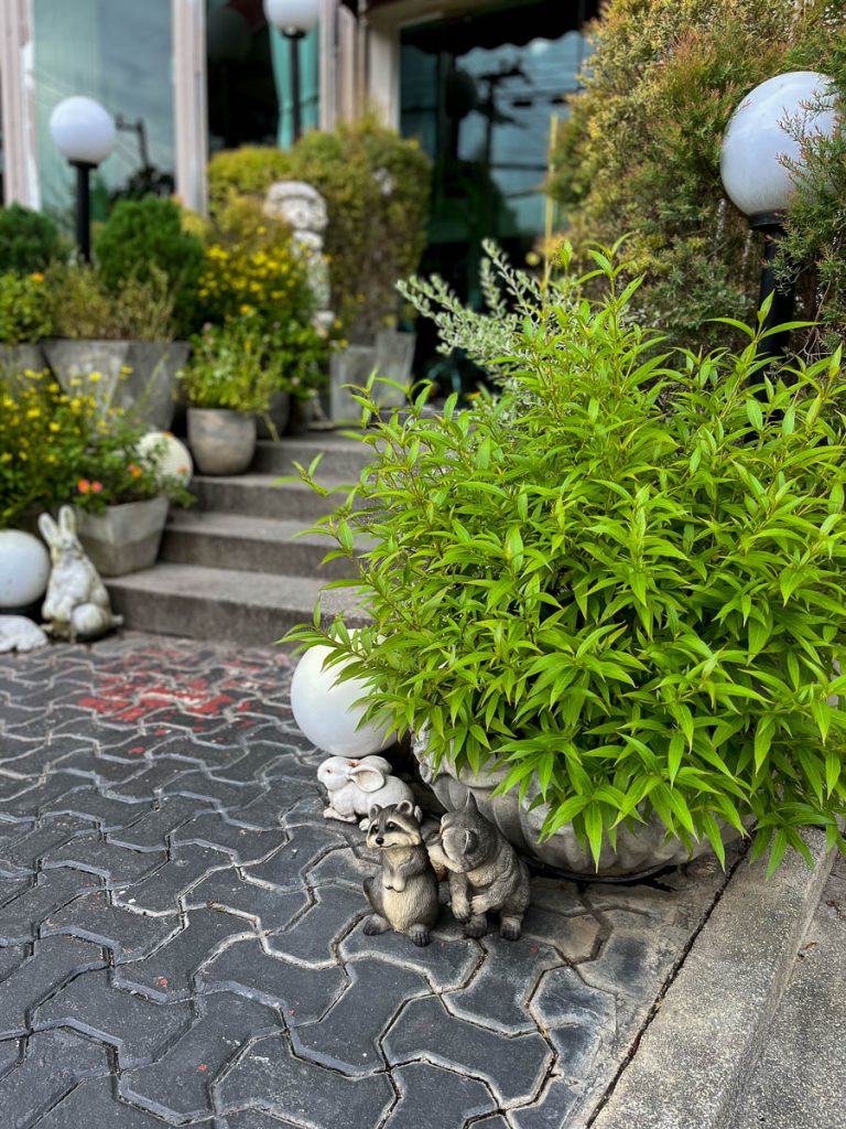 The Haus 224, Chiang Mai, Thailand
