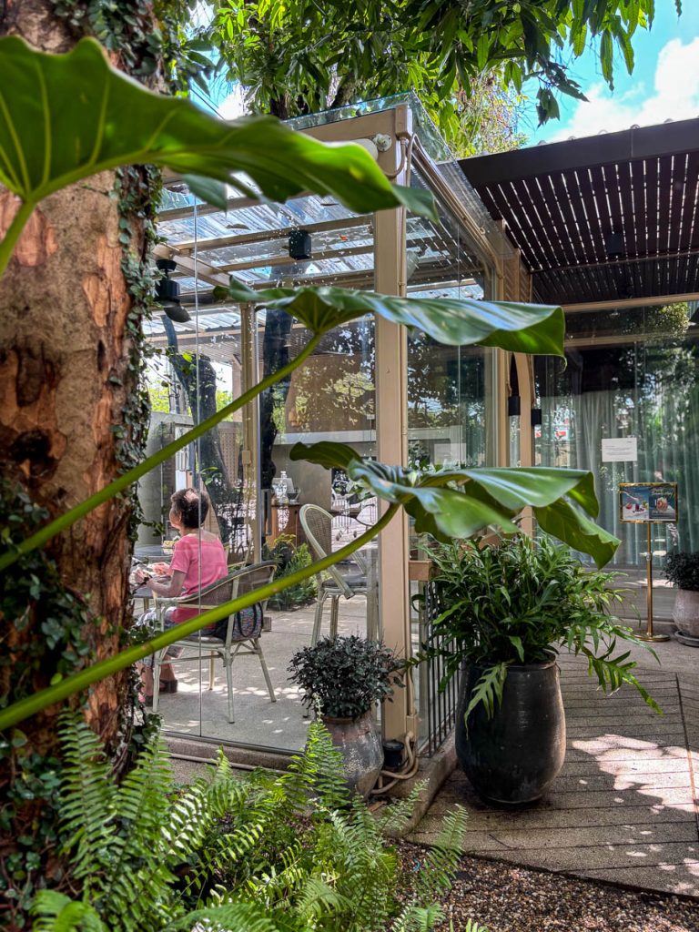The glasshouse at LANN Cafe, Chiang Mai