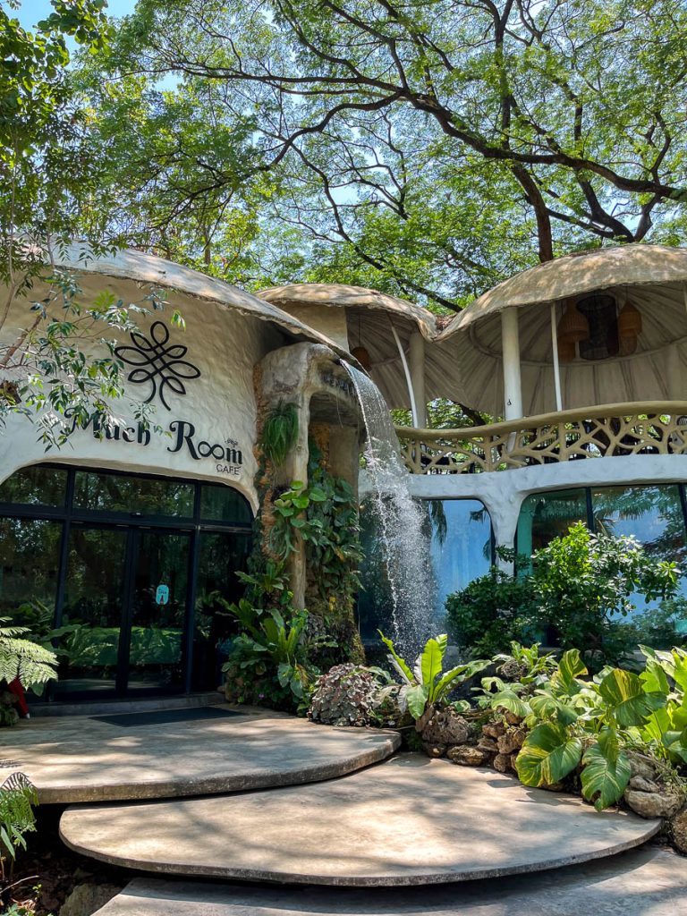 Much Room Cafe, Chiang Mai, Thailand