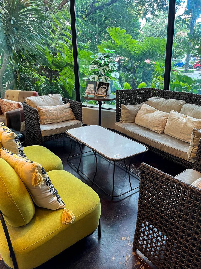 Interior seating area at Much Room Cafe in Chiang Mai with floor-to-ceiling windows overlooking tropical greenery