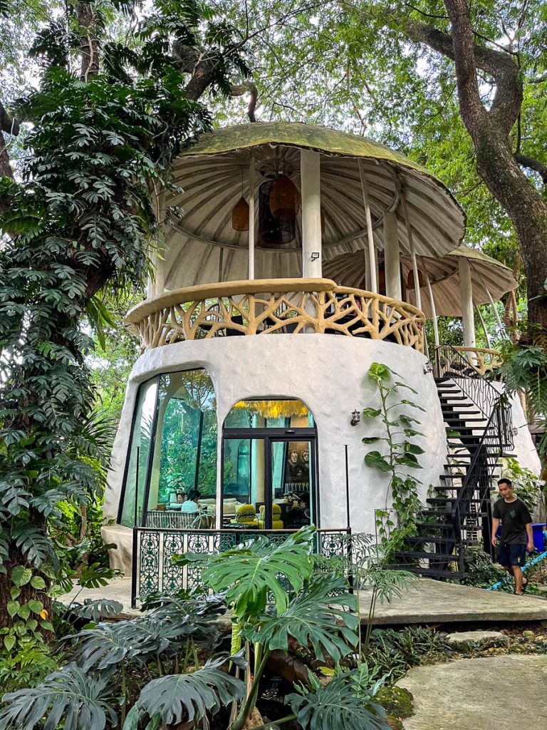 Mushroom-shaped exterior of Much Room Cafe in Chiang Mai with open-air upper terrace and surrounding trees
