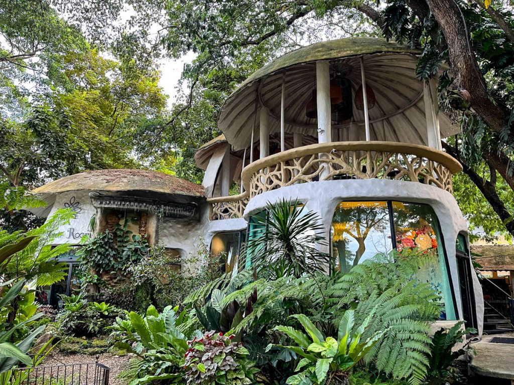 Outside at Much Room Cafe, Chiang Mai, Thailand