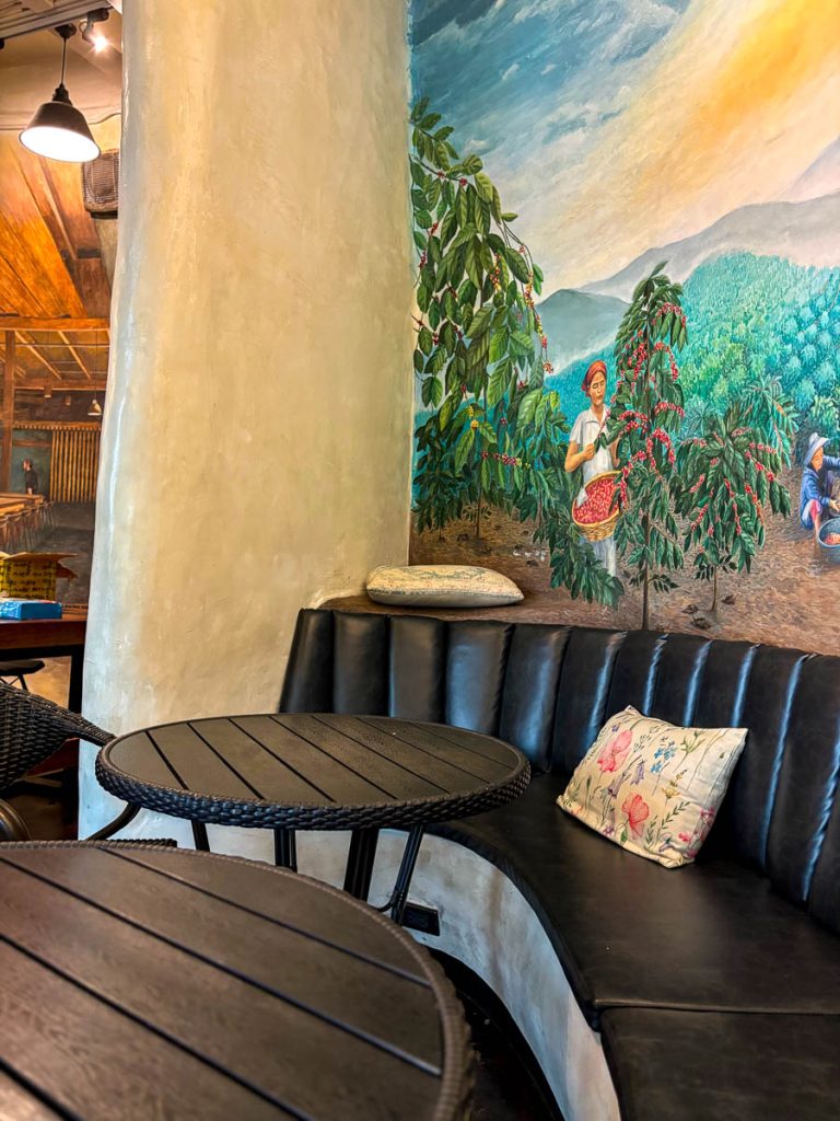 Much Room Cafe, Chiang Mai Much Room Cafe, Chiang Mai, Thailand