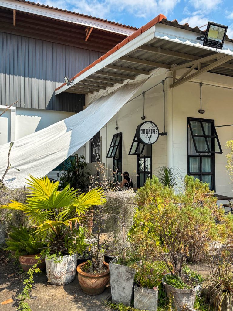Outside at Cottontree Coffee Roasters, Chiang Mai, Thailand