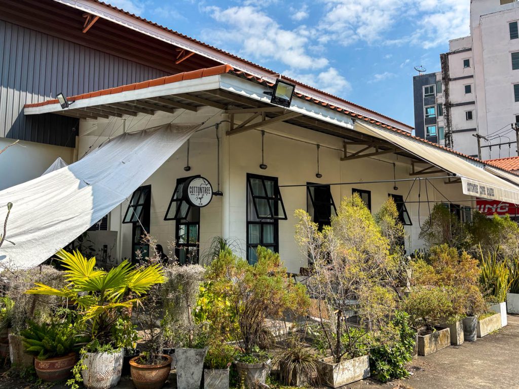 Exterior of Cottontree Coffee Roasters cafe in Chang Phueak, Chiang Mai, with potted plants and warehouse-style building
