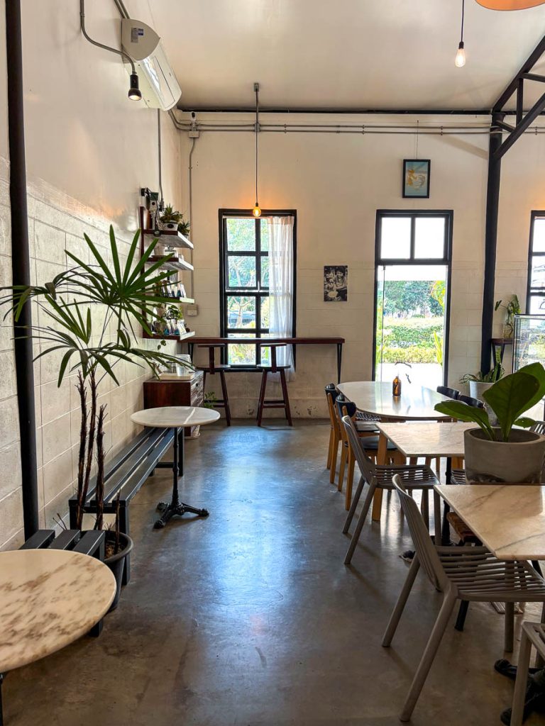Light-filled interior seating at Cottontree Coffee Roasters speciality coffee shop Chiang Mai