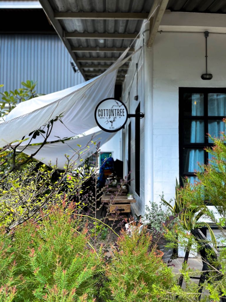 Outside at Cottontree Coffee Roasters, Chiang Mai, Thailand