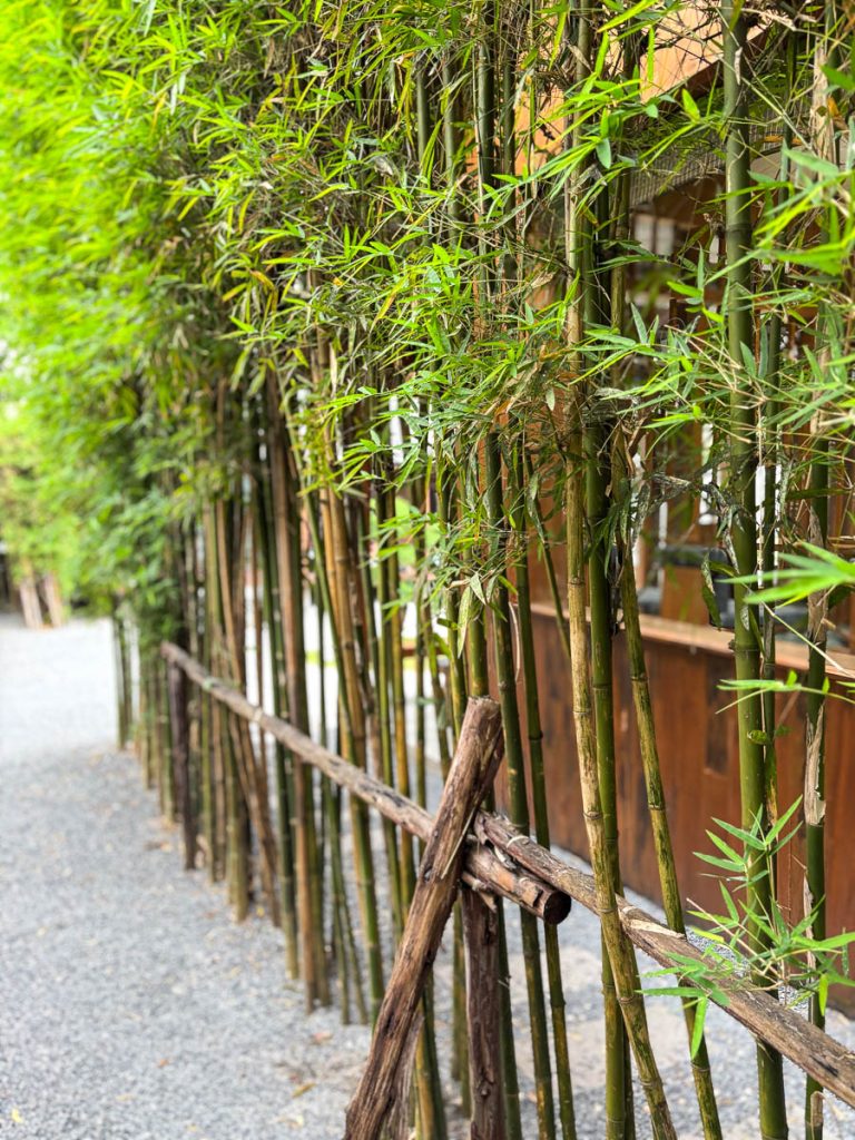 Garden zone at Baristro Asian Style, Chiang Mai, Thailand
