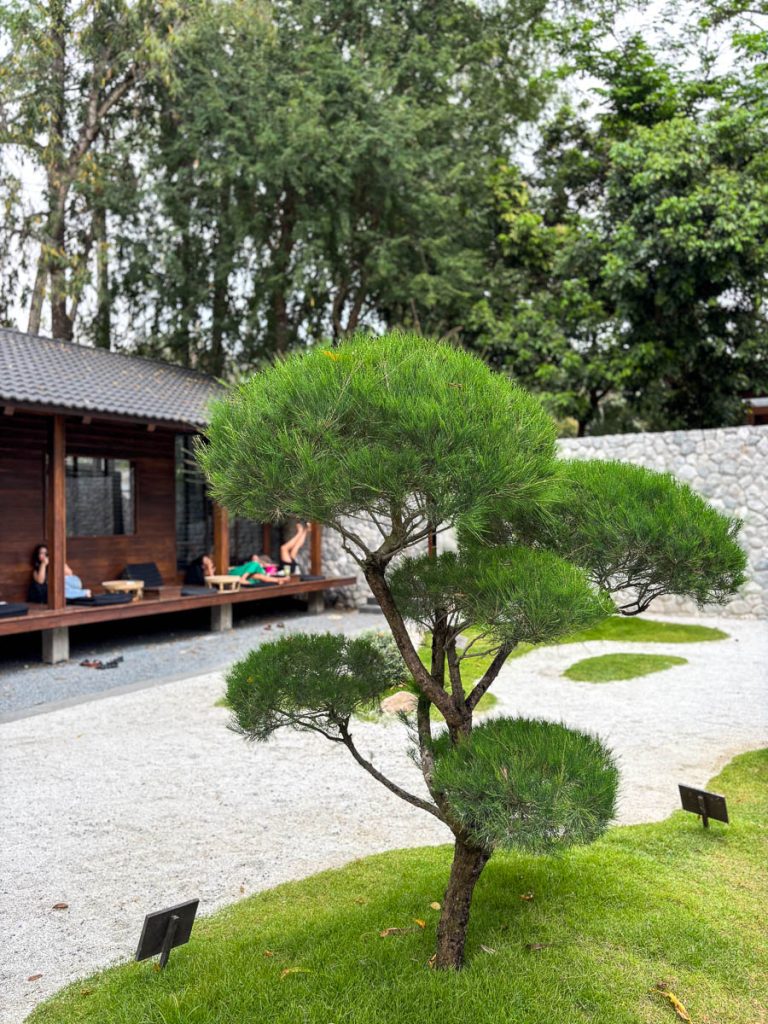 The Lanna workspace at Baristro Asian Style, Chiang Mai, Thailand