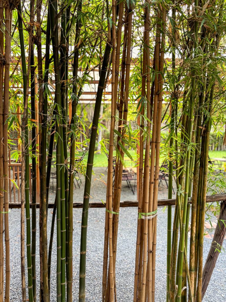 Garden zone at Baristro Asian Style, Chiang Mai, Thailand
