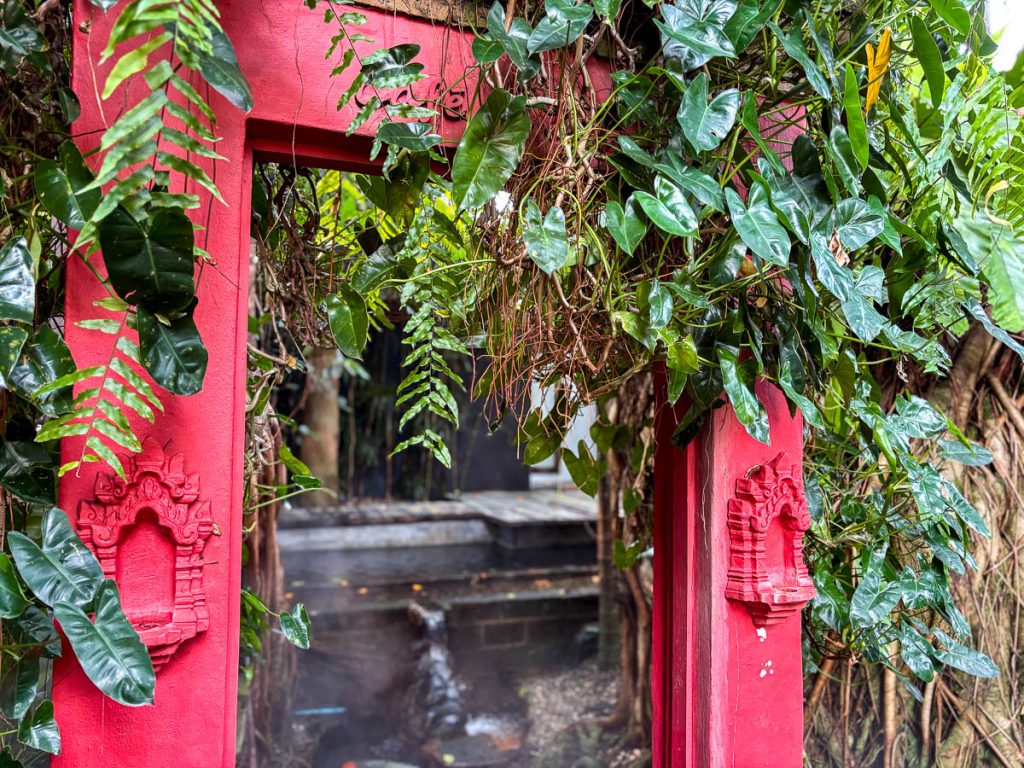 Café de Oasis Chiang Mai tropical courtyard garden with banyan tree koi pond and mist