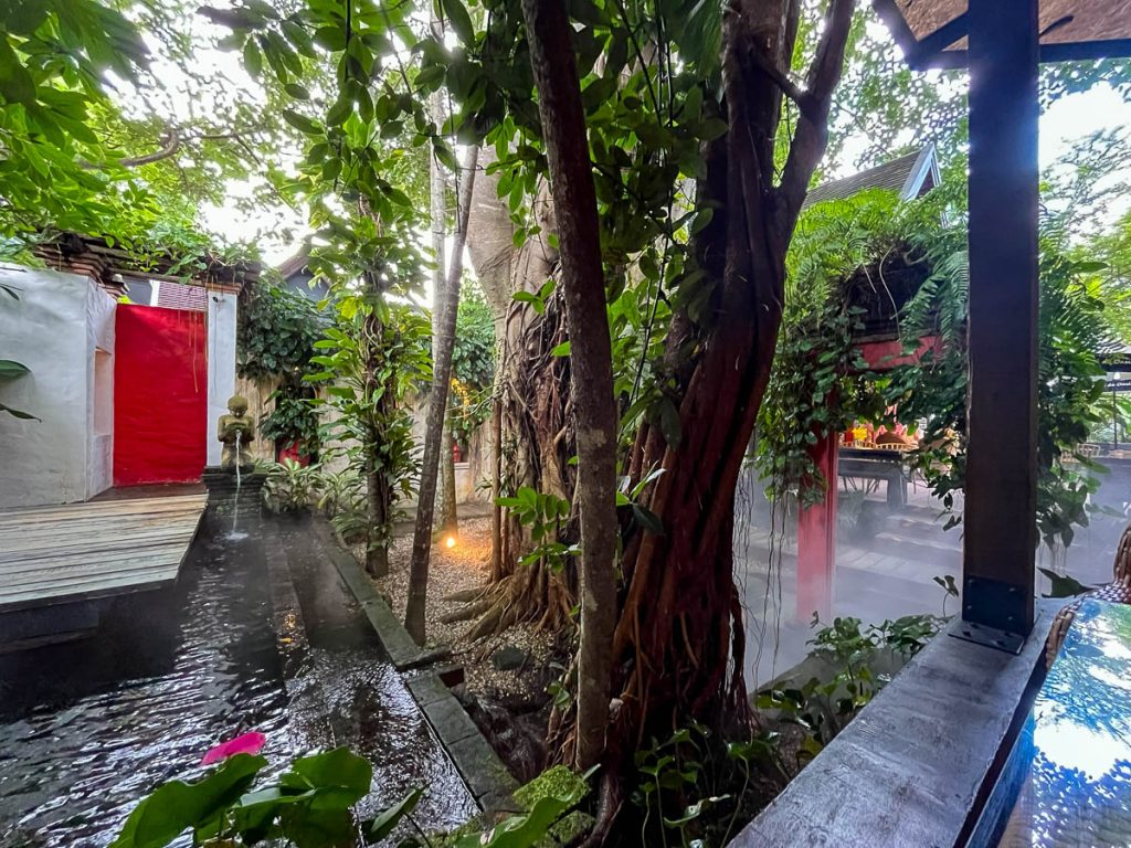 Garden pathways, tropical greenery, and water features at Cafe de Oasis in Chiang Mai, perfect for romantic lunches and special occasions