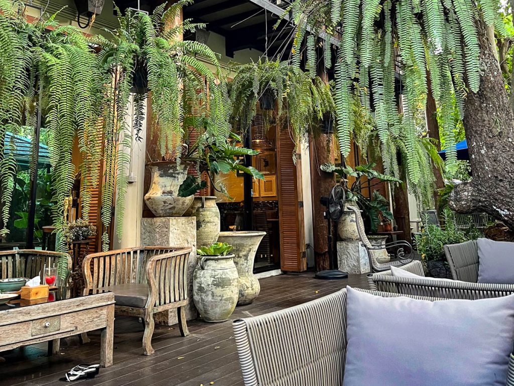 Outdoor jungle terrace seating with hanging ferns and garden-style decor at Wild Coffee & Bistro in Chiang Mai, ideal for relaxing coffee dates and special occasions