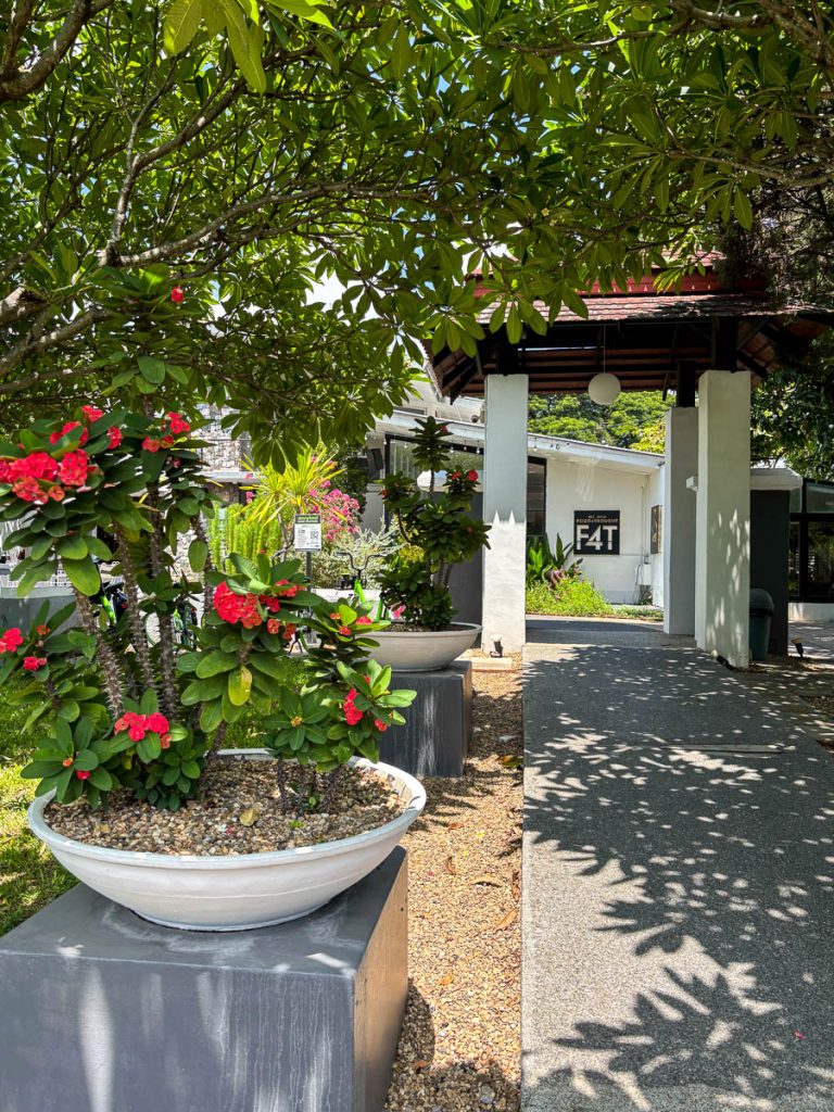 Outside at Food4Thought East &amp; Bays Coffee, Chiang Mai, Thailand